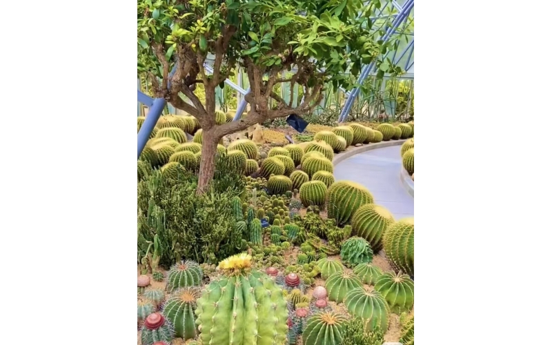 堅持教育科技人才一起抓