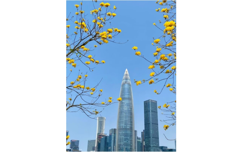 我國戰(zhàn)略性新興產(chǎn)業(yè)有效發(fā)明專利量達134.9萬件